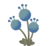 丸い青色の花