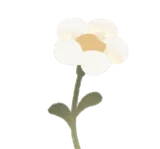 名もなき白い花・左