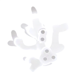 ホソエサンゴの標本