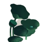 宵闇の蓮たち