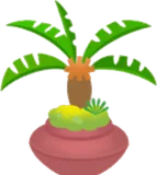 ソテツの植木鉢