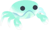 ミズイロイソガニ
