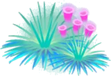 空気水草2