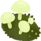 小さなキノコ