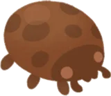 テントウムシ型チョコレート