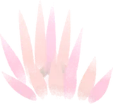 砂丘の低草・薄橙