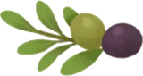 摘み取ったオリーブ