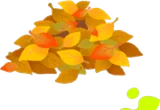 紅葉した葉っぱの山