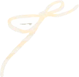 蝶結びの麻紐