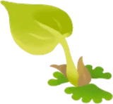 苔から芽吹いた緑