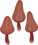 オレンジのキノコ
