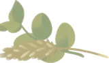 収穫したドライフラワー