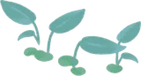 水を好む温室の植物・緑
