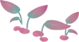水を好む温室の植物・赤