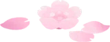浮かぶ桜の花