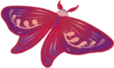 ドリーム蝶