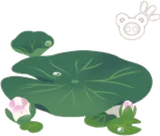 大きな睡蓮の葉