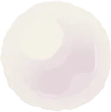 一粒のパール