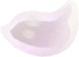 氷凛花の花びら