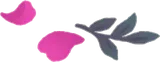 花びらと薬草