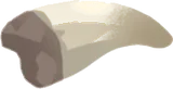 恐竜の歯の化石