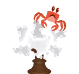 キリエダサンゴの標本