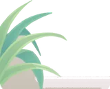 そっと置かれたヤブラン