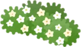 花の群生