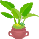 南国の植木鉢