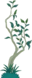 細い低木