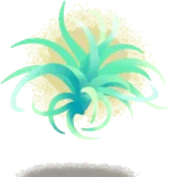 浮遊エアプランツ・右後