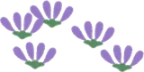 小さな紫の花