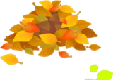 崩れた紅葉した葉っぱの山