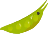 さやえんどうオンブバッタ