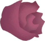 落ちた丸い花