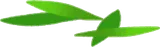 落ちた竹の葉