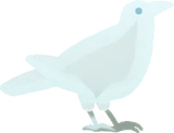 幽遠のカラス・白