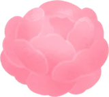 薔薇の花