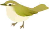 小さなウグイスのミニチュア