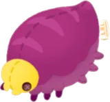 ヤツイロイモモドキトイ