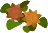 繁殖した古代植物