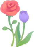 並んだ薔薇とチューリップ