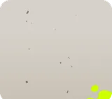 黒いちらつくほこり