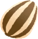 ころんとしたひまわりの種