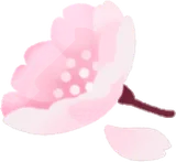 ダークチェリーの花