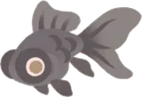 小さな黒出目金の幻影
