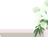 卓上を彩るドクゼリ