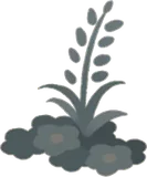 色褪せた草花