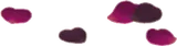 散らばるドライボプリ
