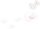 まどろみの白桜